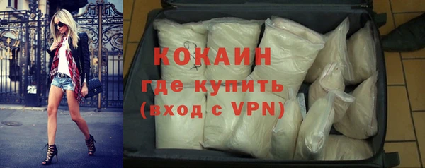 гидра Карпинск