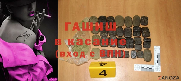 гидра Карпинск