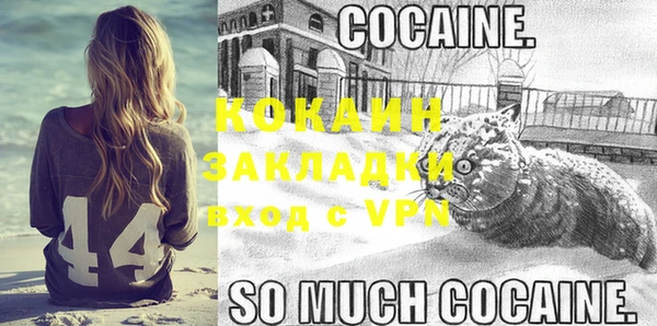 гидра Карпинск