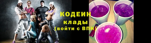 гидра Карпинск
