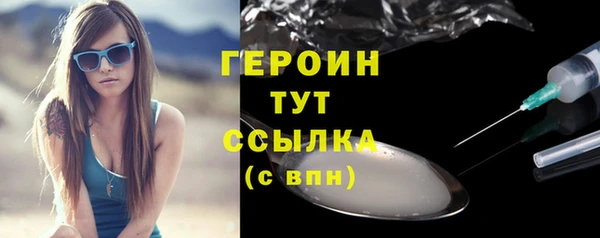 гидра Карпинск