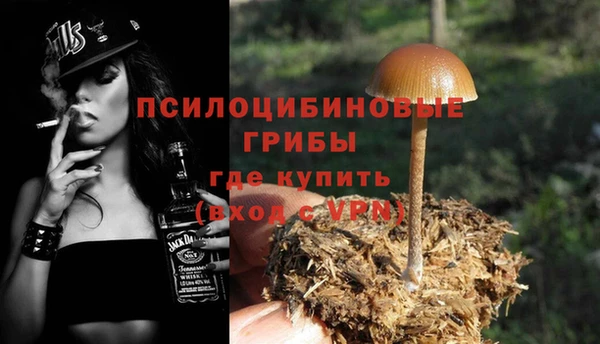 гидра Карпинск