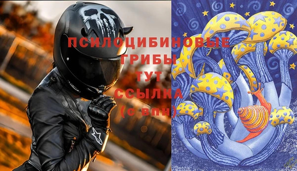 мяу мяу мука Касимов