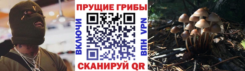 Галлюциногенные грибы мухоморы  Купить где  Болхов 